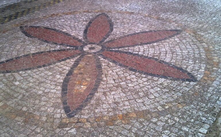 kwiat z kostki brukowej